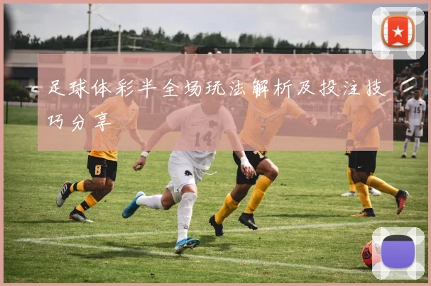 足球体彩半全场玩法解析及投注技巧分享