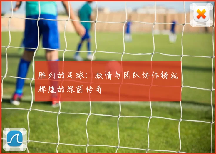 胜利的足球：激情与团队协作铸就辉煌的绿茵传奇