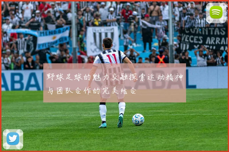 野球足球的魅力交融探索运动精神与团队合作的完美结合